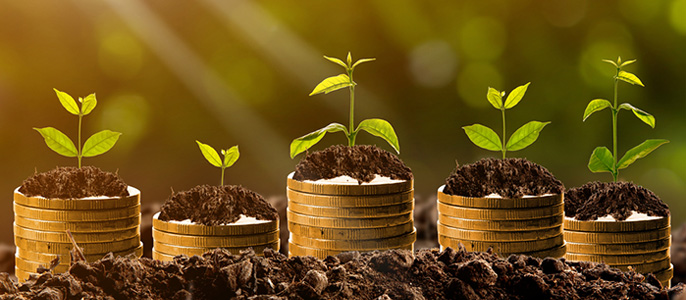 5 Steps to Grow Your New Catering Business