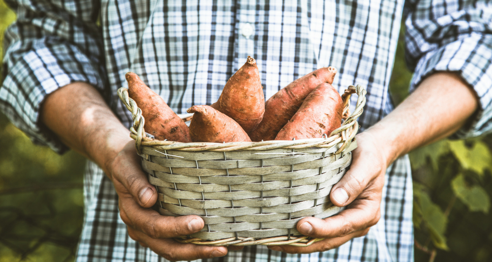 How to Make Your Catering Business More Sustainable