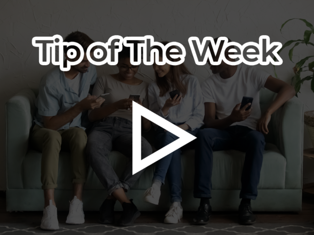 tip of the weak black 2