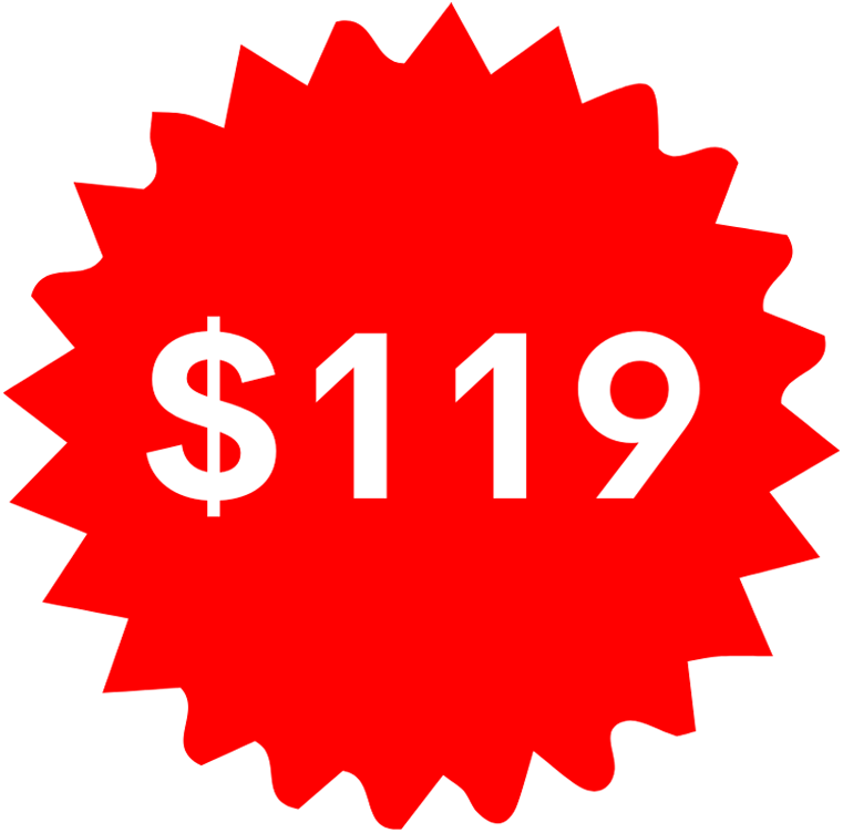 Pricing 119